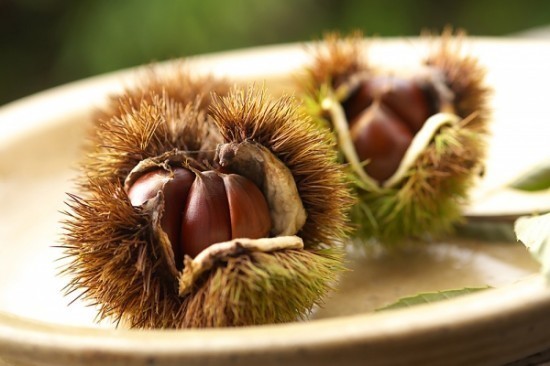 Chestnuts Chestnuts 550x366 How to Cook Chestnuts
