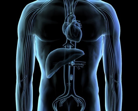 Hepatitis Hepatitis 550x442 What Causes Hepatitis?