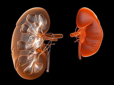 Drinking sufficient fluids  It is crucial that you drink lots of ...