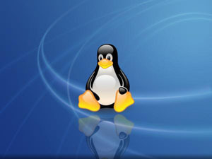 install-linux-os install linux os How to Install Linux OS