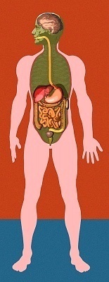 What Causes Fatty Liver? what causes fatty liver What Causes Fatty Liver?