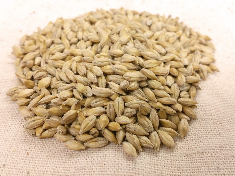 How to Cook Pearl Barley?
