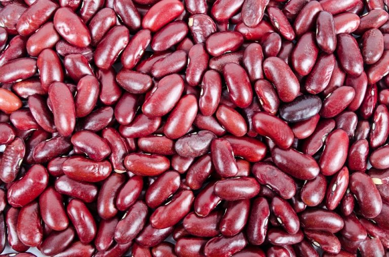 How to Cook Red Beans?